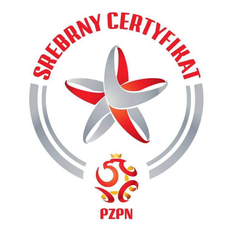 OTRZYMALIŚMY SREBRNĄ GWIAZDKĘ PZPN